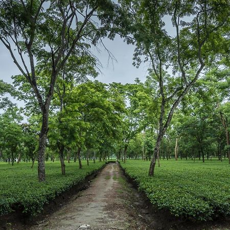 Tusker Tea County Chālsa Exterior foto