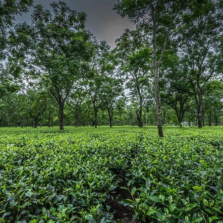 Tusker Tea County Chālsa Exterior foto
