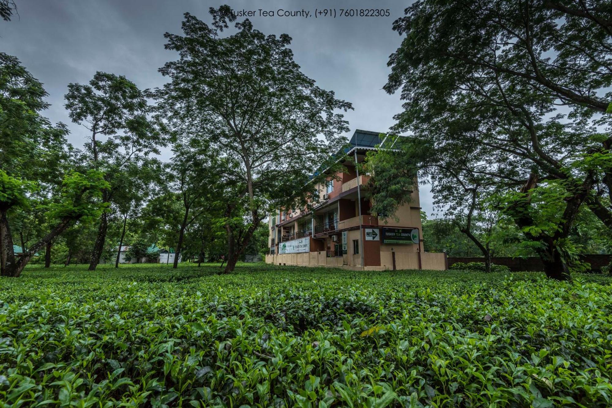 Tusker Tea County Chālsa Exterior foto